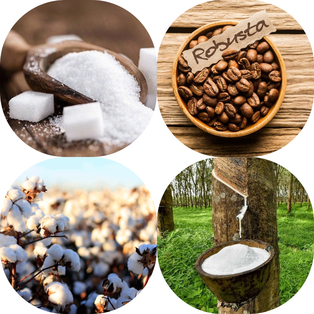Bản tin nguyên liệu công nghiệp