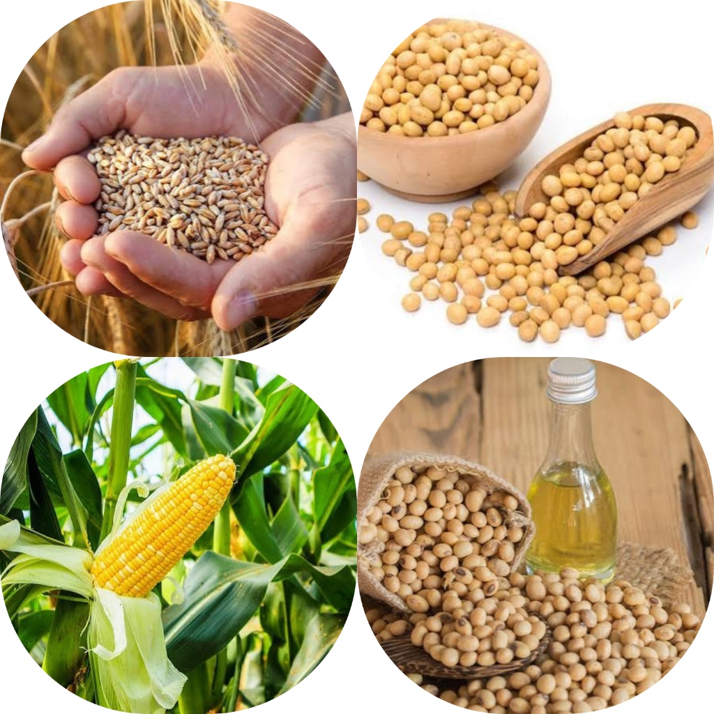 Bản tin nông sản